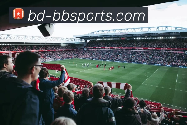 BBSport体育投注平台平台生态图